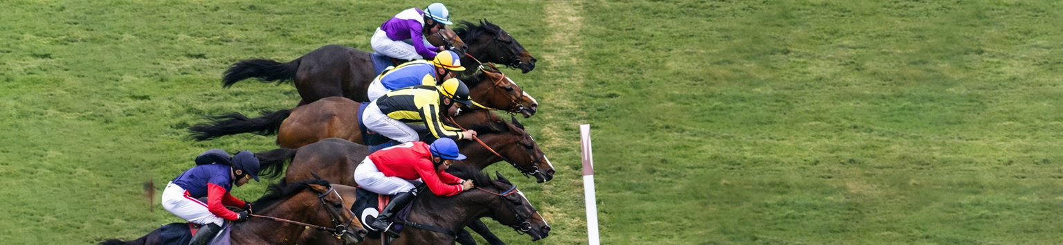 AI Prediction vs. Actual Results